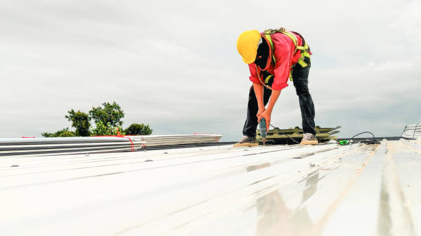 Best Commercial Roofing Services  in Edgewater, CO