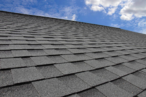 Trusted Edgewater, CO Roofing service Experts